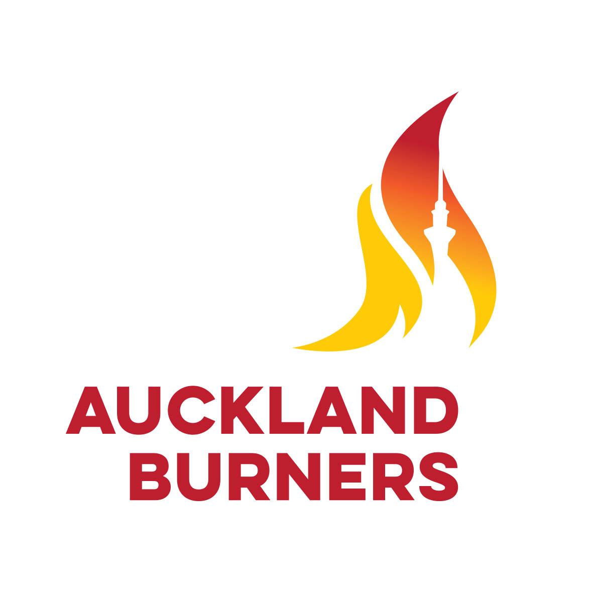 Art Grants for Ignition – thanks Auckland Burners!
