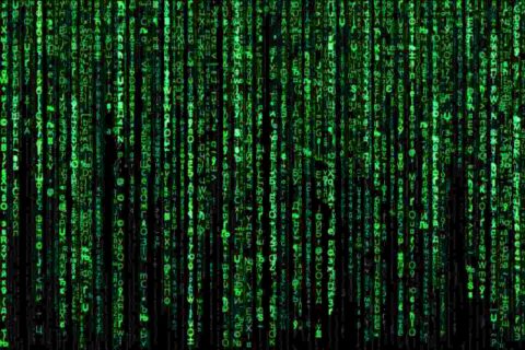 Enter the Matrix - Kiwiburn