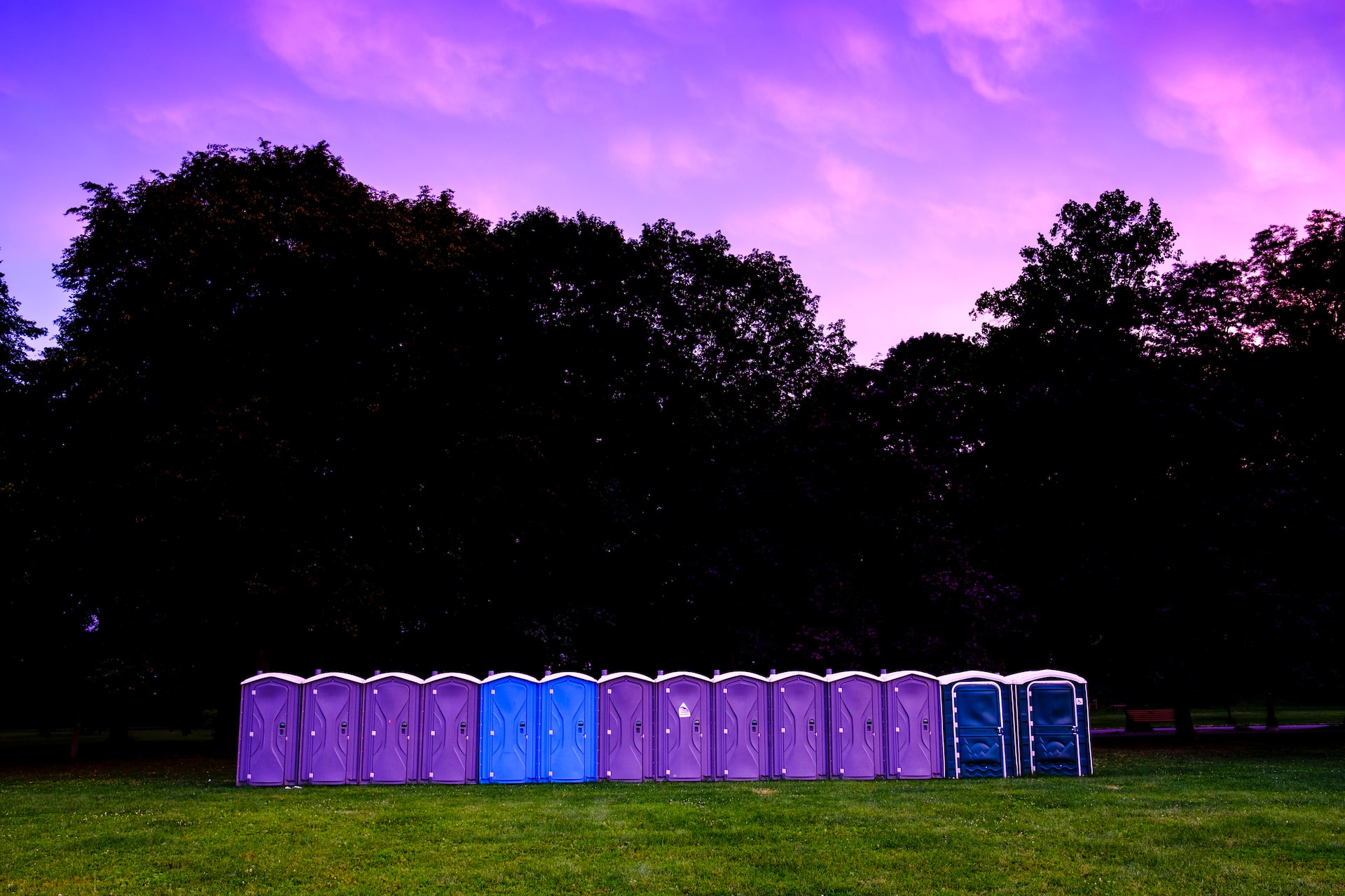 A row of purple and blue coloured porta-loos sit on green grass with dark green trees in the background silhouetted against a purple-blue sky