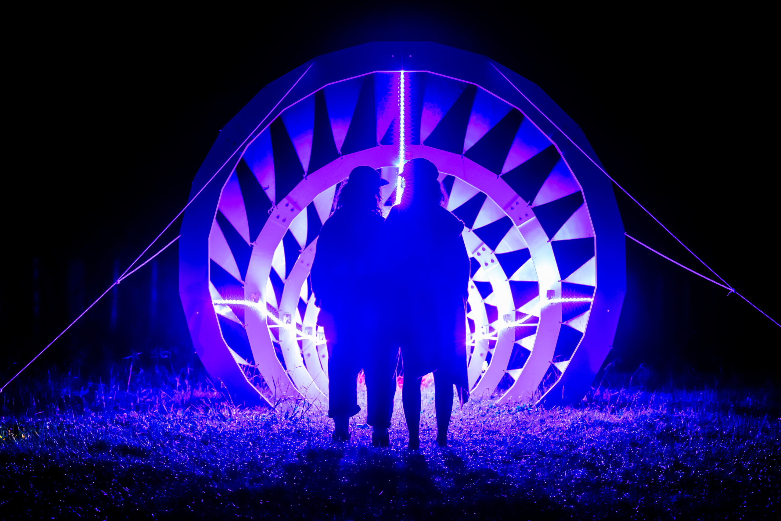 An image of two people standing in front of an art piece.