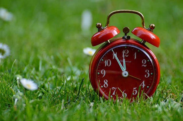 An image of an alarm clock in the grass.