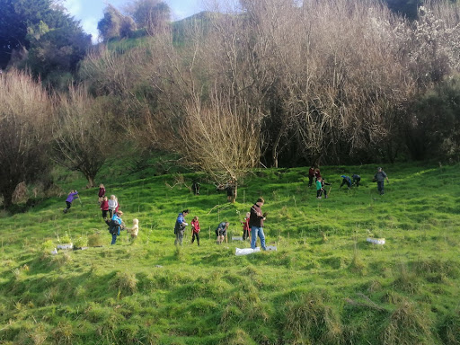 a group of people planting trees on a paddock