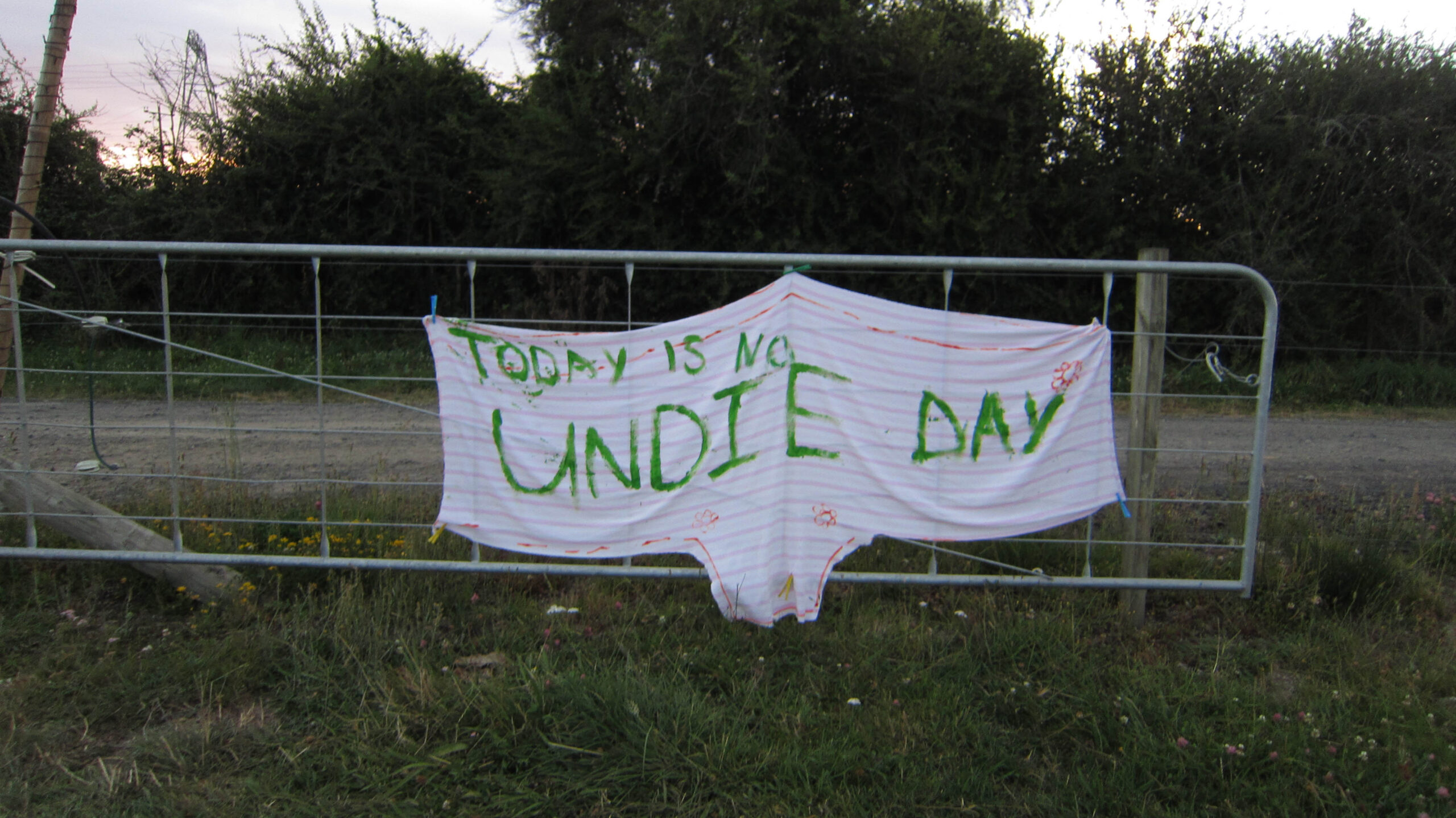 a large white cloth in the shape of underwear hangs on a steel gate with the words 'today is no undie day' written on it