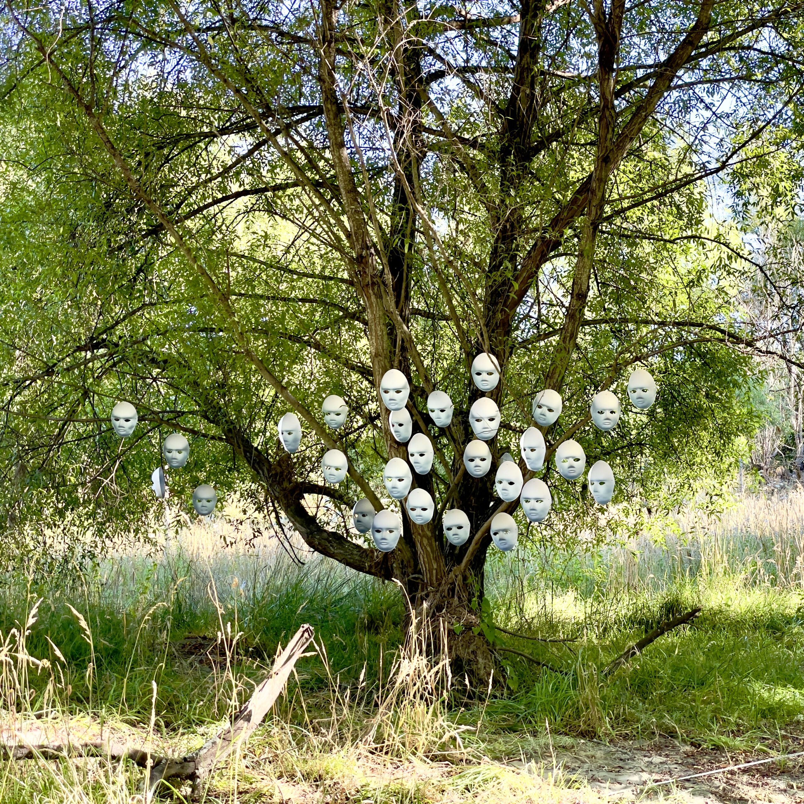 A bunch of white full face masks hang in a tree