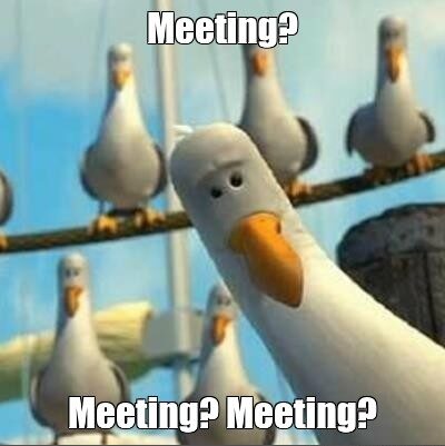 Curious seagulls looking around with the text "Meeting? Meeting? Meeting?" Superimposed