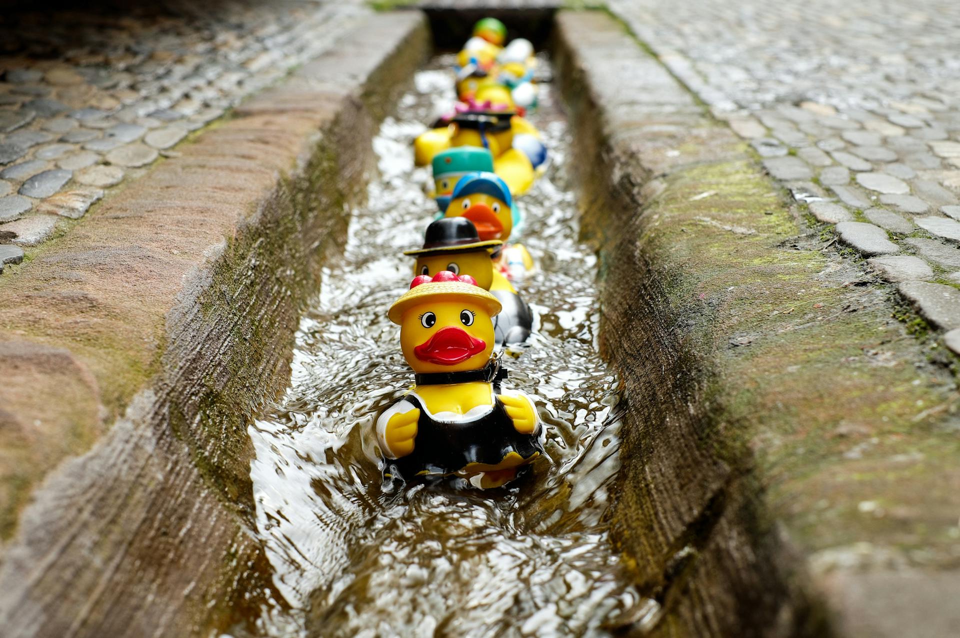 An array of funky dressed rubber ducks floats in a row down a drain resembling a tiny waterslide