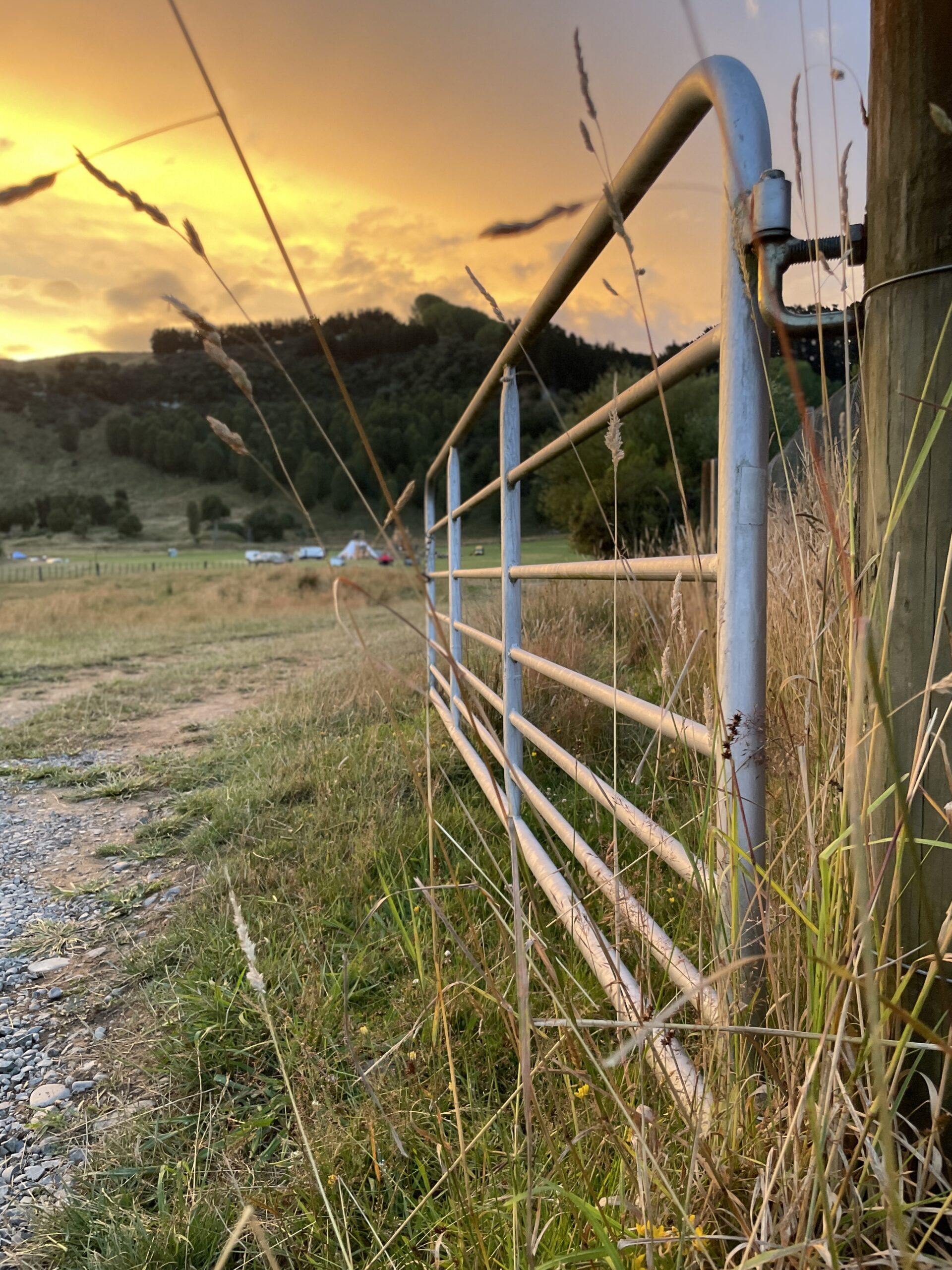 An image of a gate on the Paddock at sunset.