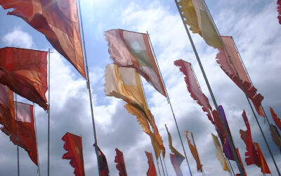 Plant Your Flag (Just Not There)