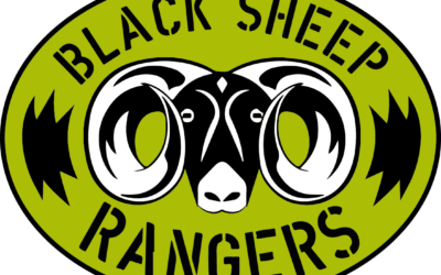 Can Someone Ranger the Rangers?