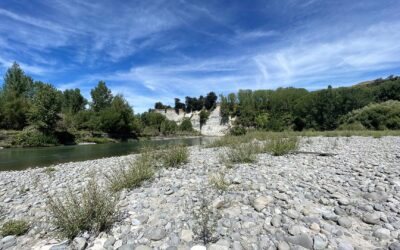 River Care for Rangitīkei Awa: Protecting Our Place with Aroha