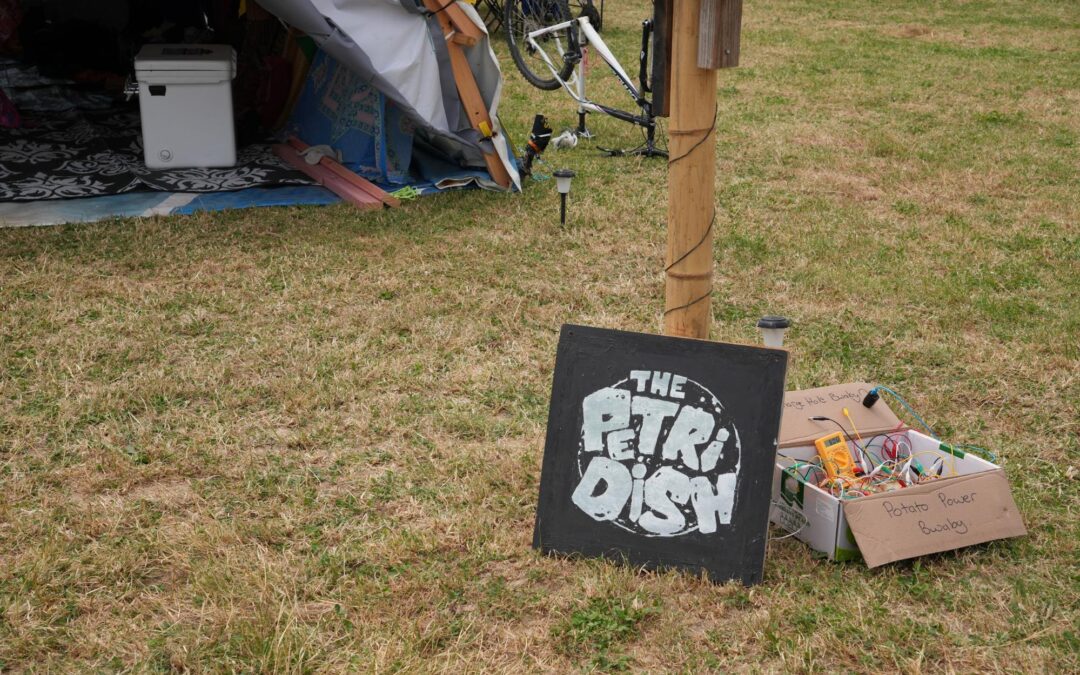 The Best* Role in KB Could be Yours!