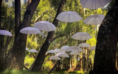 WANTED: Secretary 2iC