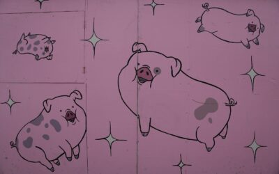 Join the Site Office Crew for KB26!