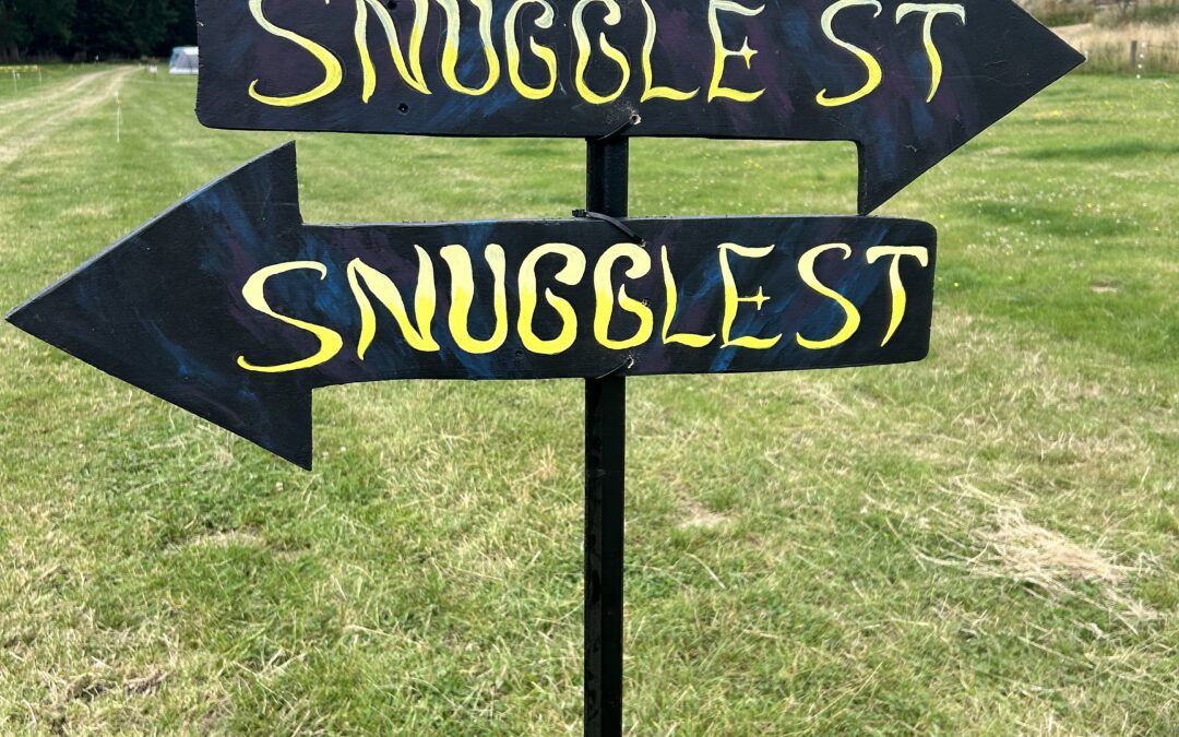 Wanted: TWO Creative Legends to Design the Burn 