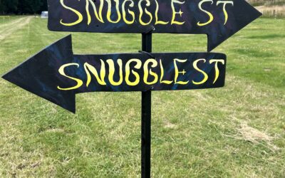 Wanted: TWO Creative Legends to Design the Burn 