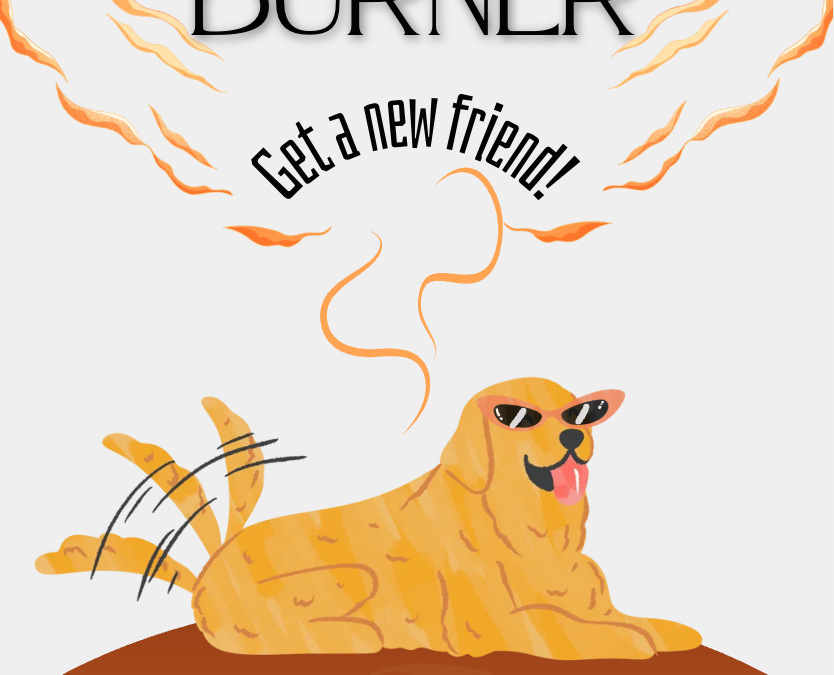 New blog post alert!  Adopt a Burner
