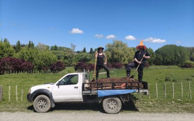 A word from the Marvelous MPW and the ‘Working Bee’ team
