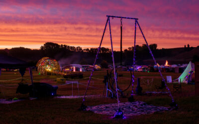 The Paddock Awaits Your Shenanigans
