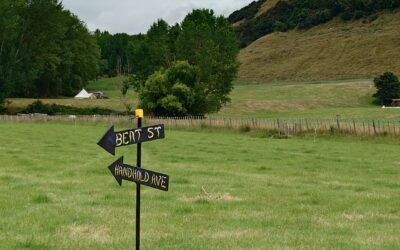 Last Call for Street Names!